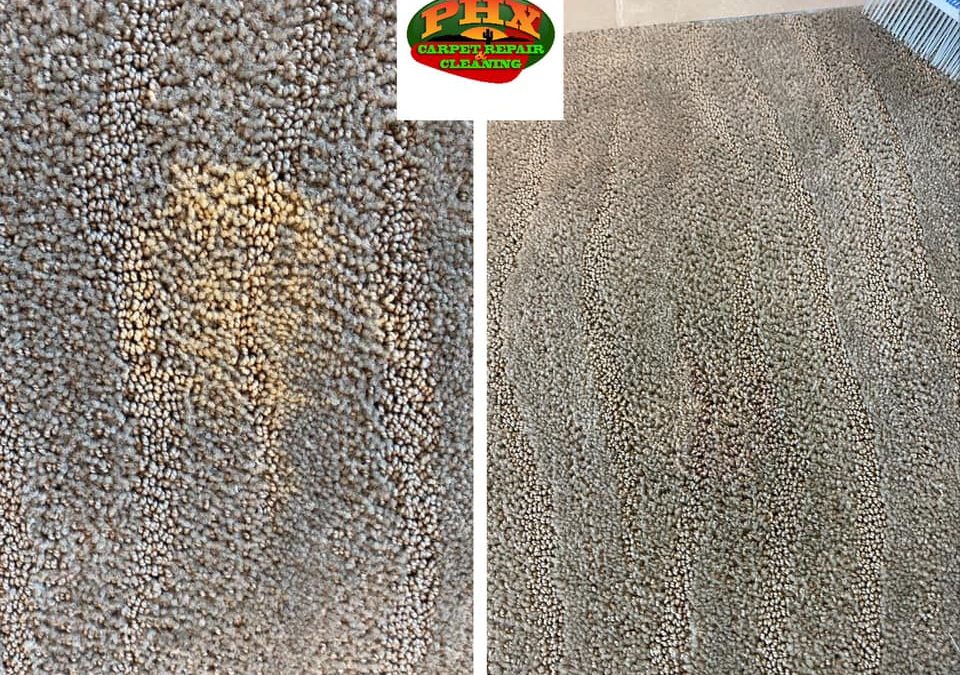 Restoring the Beauty: Carpet Dyeing for Bleach Spot Repair