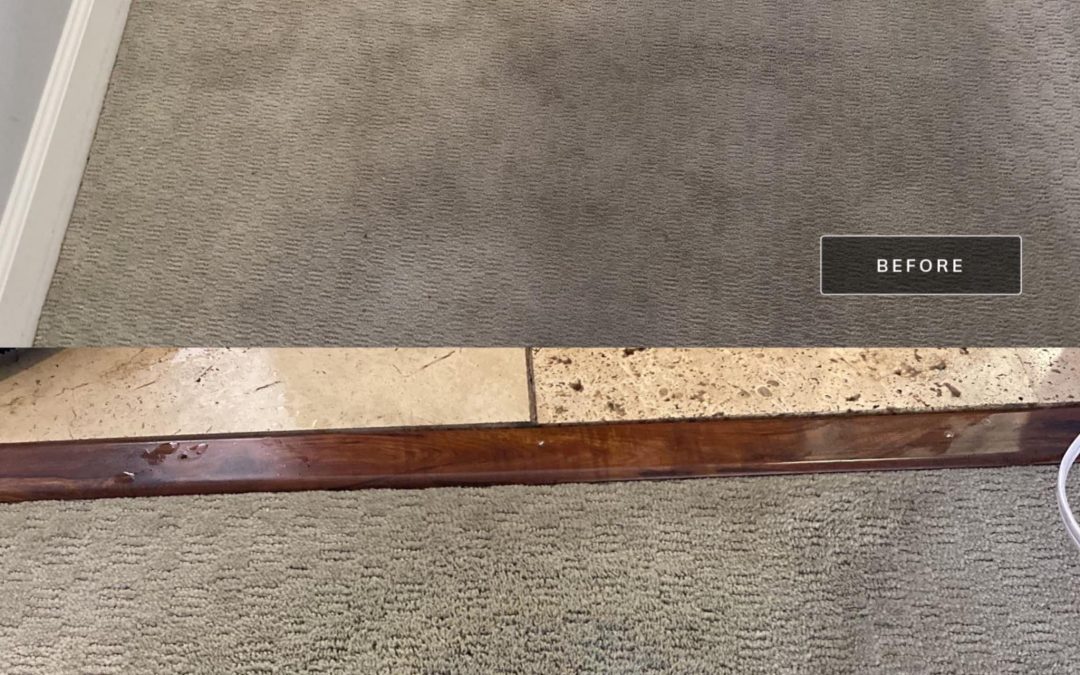 Onsite Carpet Dyeing in Phoenix: Repairing Small Bleach Spots with Precision
